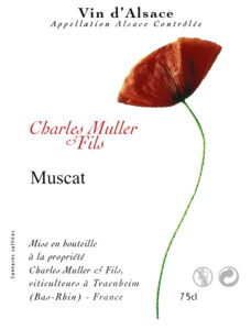 Muscat